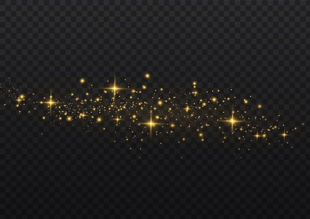   golden stars shine with special light     Sparkling magical dust particles