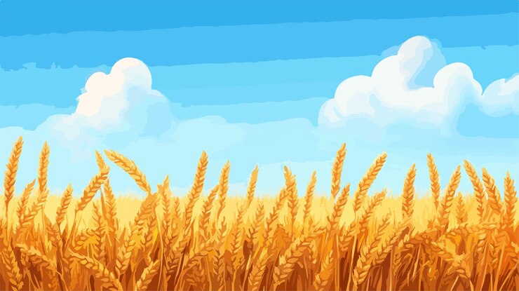 Vector golden wheat field under blue sky serene agriculture landscape