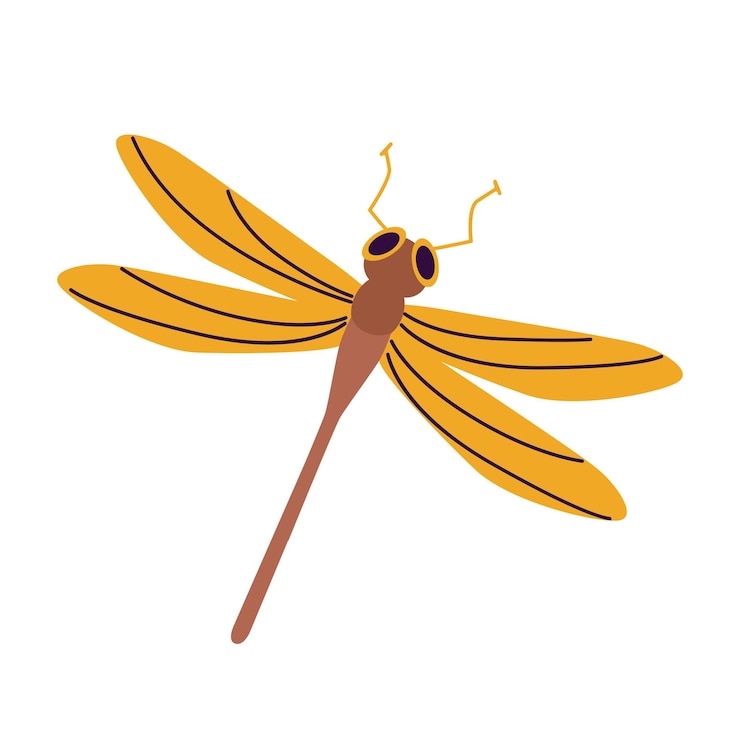 Vector golden winged dragonfly icon