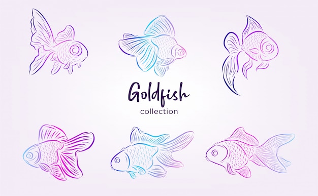 Goldfish collection with line art and gradient color