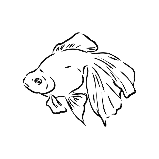 白い背景の水族館の魚のベクトルに分離された金魚手描きベクトルイラスト