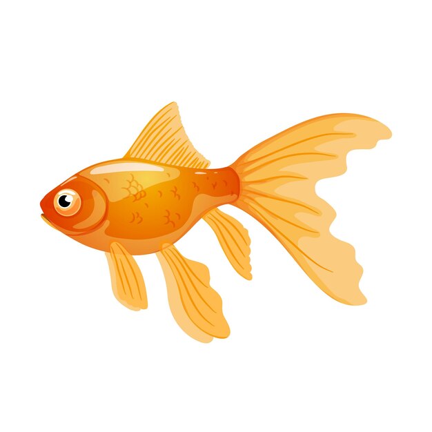 Vector goldfish in realistic style on white backgroundvector illustration