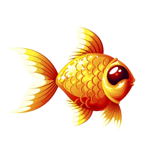 Vector goldfish.