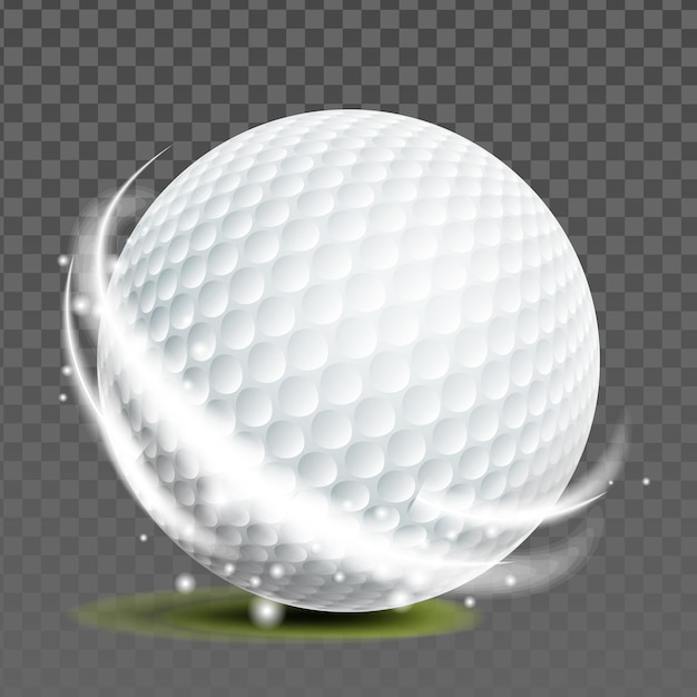 Vector golf ball golfer sportive game accessory vector