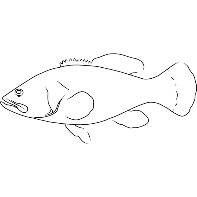 Goliath Grouper Hand sketched hand drawn vector clipart