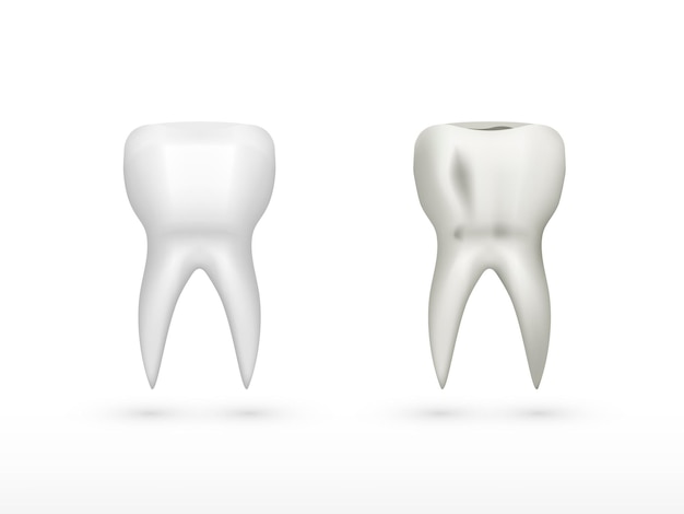 Good And Bad White Molar Tooth With Shadow