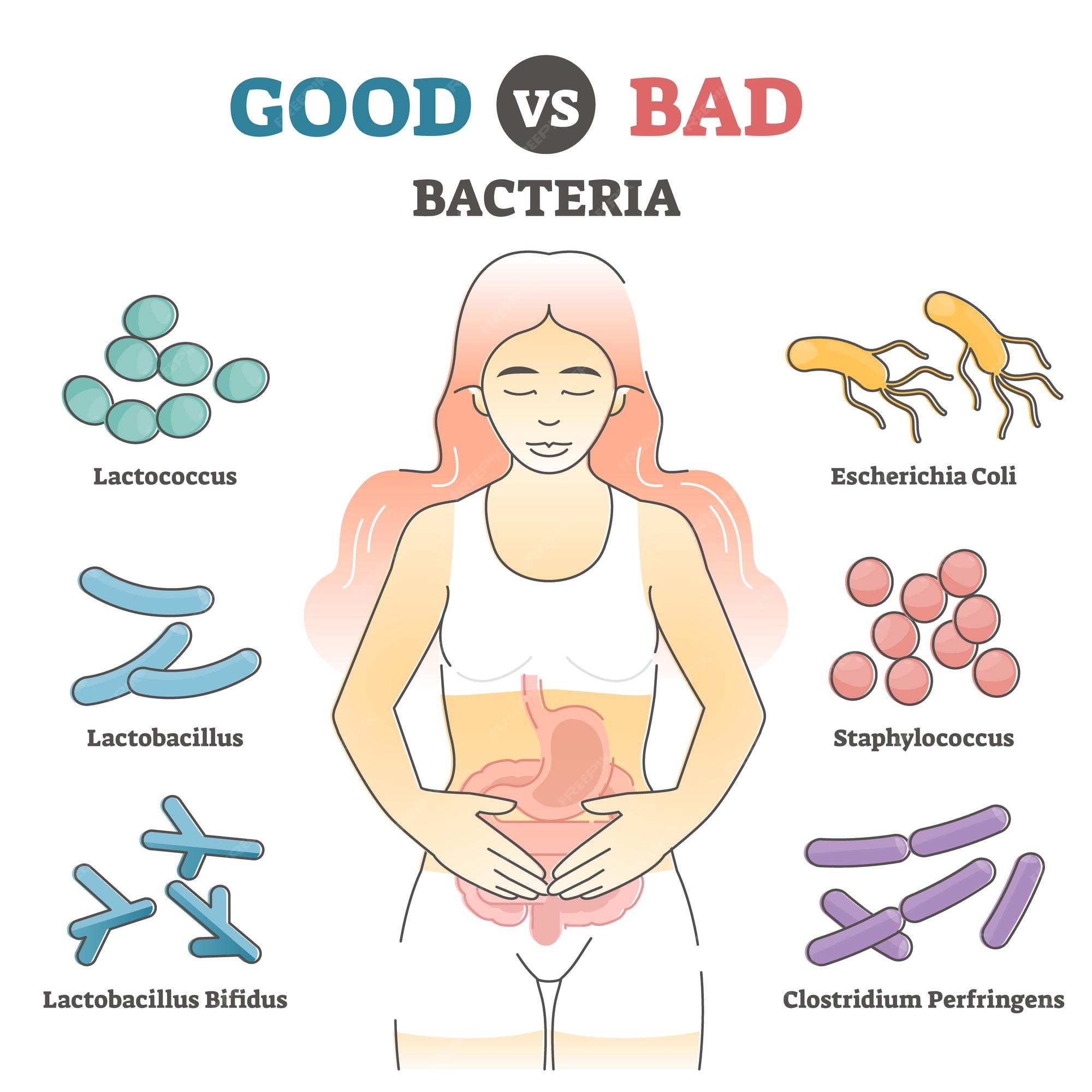 bacteria-examples