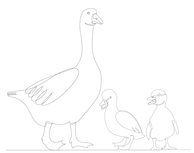 Goose and goslings drawing in one continuous line sketch vector