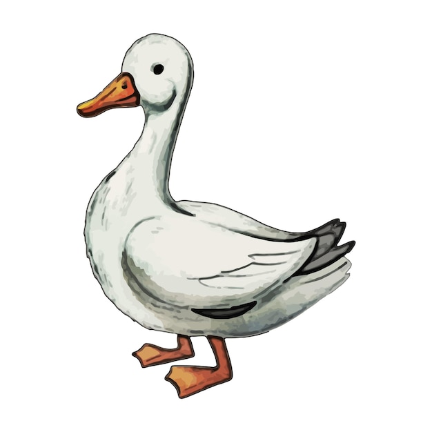 Goose Watercolor vector Illustration