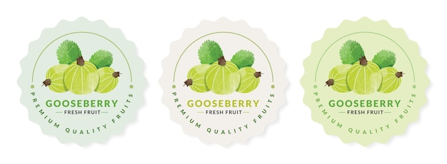 Gooseberry packaging design templates, watercolour style vector illustration.