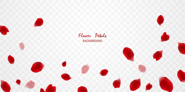 Vector gorgeous red rose petals background virtual vector illustration