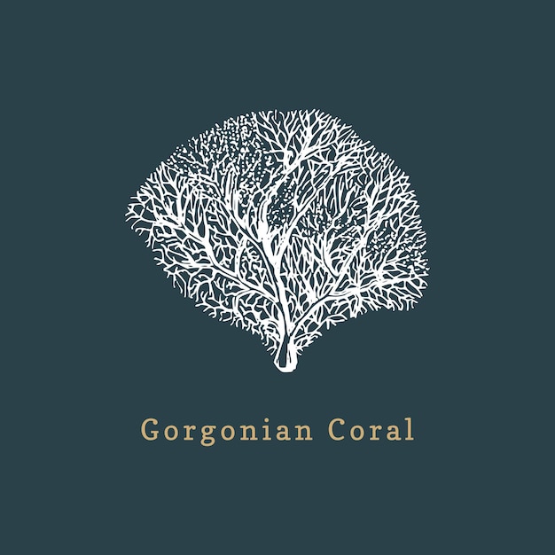 Vector gorgonian coral vector illustration. drawing of sea polyp on dark background.