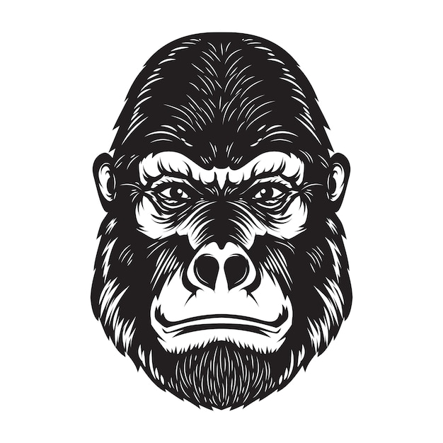 Иллюстрация головы обезьяны гориллы на белой предпосылке. элементы для плаката, эмблемы, знака. образ