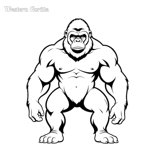 Vettore pagina da colorare disegnata a mano da gorilla e disegno vettoriale del contorno