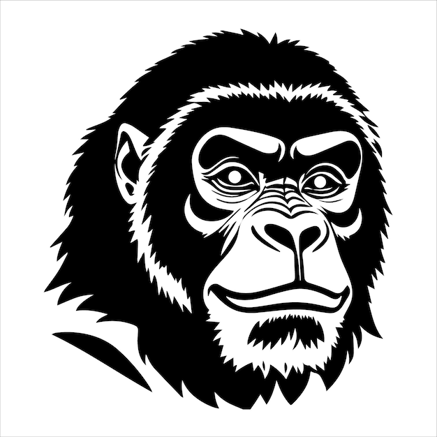 Gorilla hoofd vector grafische illustratie zwart-wit