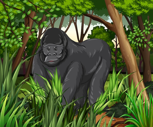 Vettore gorilla che vive nella giungla