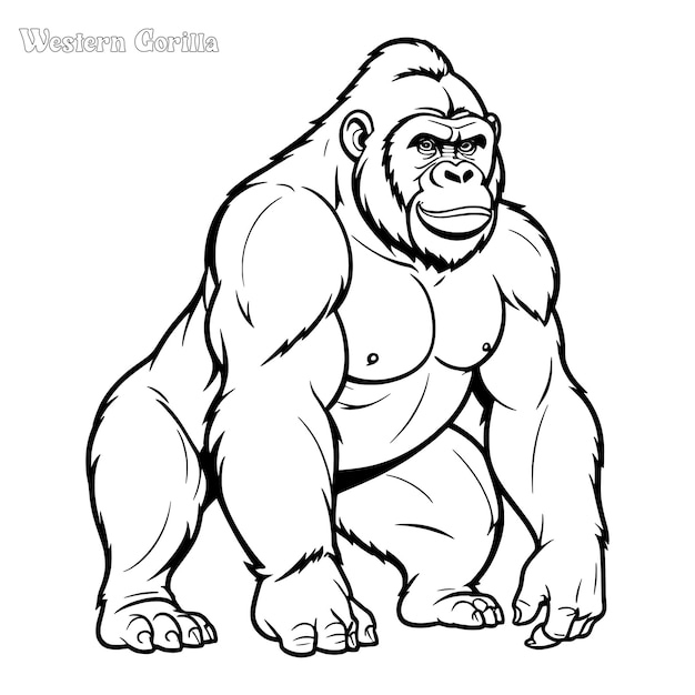 Gorilla met de hand getekende kleurpagina en outline vectorontwerp