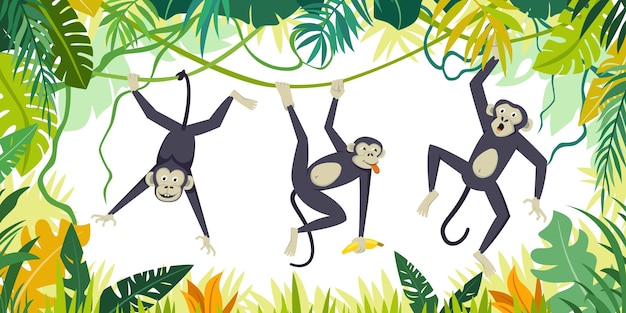 Vettore scimmie gorilla sfondo personaggi di scimmie esotiche nel cartone animato vettoriale di giungla scimpanzé orangutan