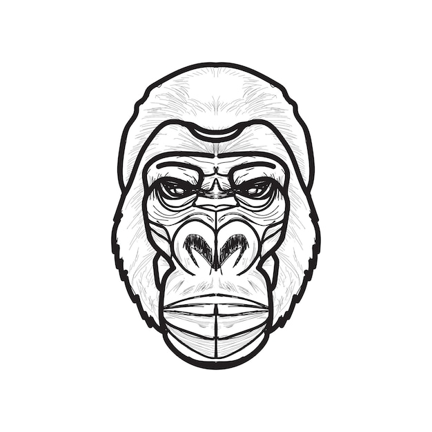 Vector gorilla sketch art design template