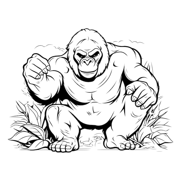 Gorilla-vectorillustratie geïsoleerd op witte achtergrond