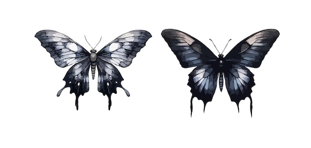 Vector gothic butterfly clipart isolated vector illustration