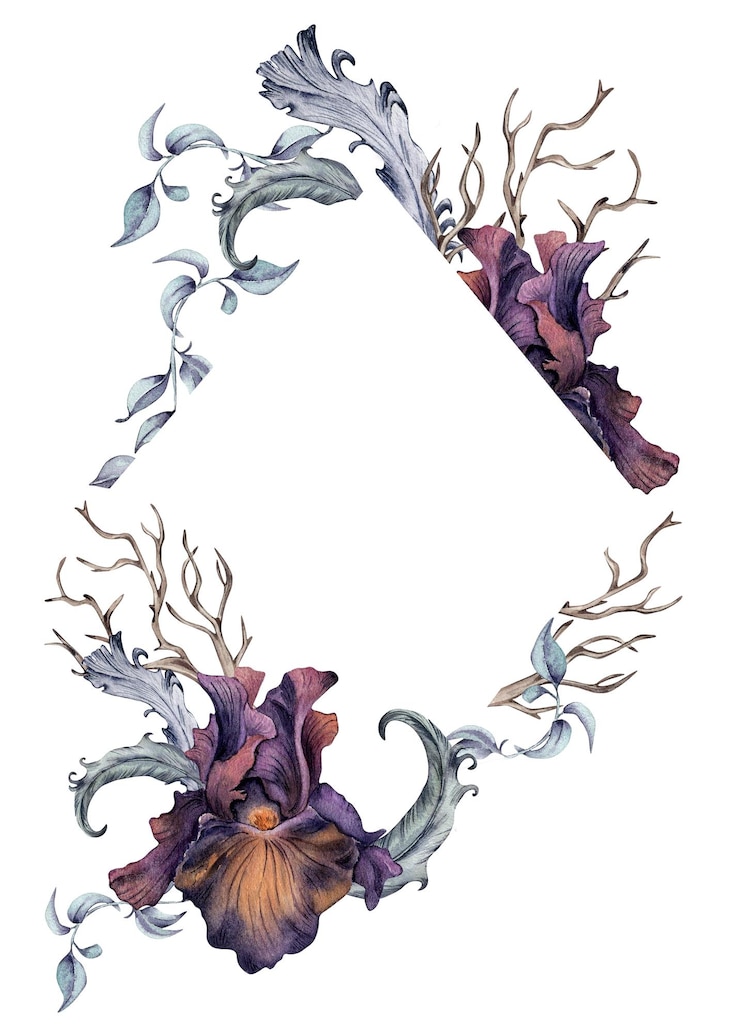Vector gothic floral frame hand drawn black iris flowers and branch watercolor illustration isolated on white botanical decoration with snag and feathers for dark party element for invitation printing
