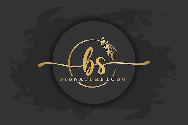 Gouden handtekening logo voor eerste letterLetter bs Handschrift vector illustratie afbeelding