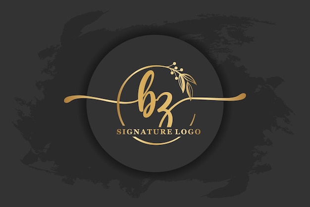 Gouden handtekening logo voor eerste letterLetter bz Handschrift vector illustratie afbeelding