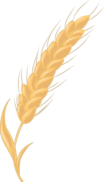 Gouden Landbouw Tarwe Oren Illustratie Grafisch Element Art Card