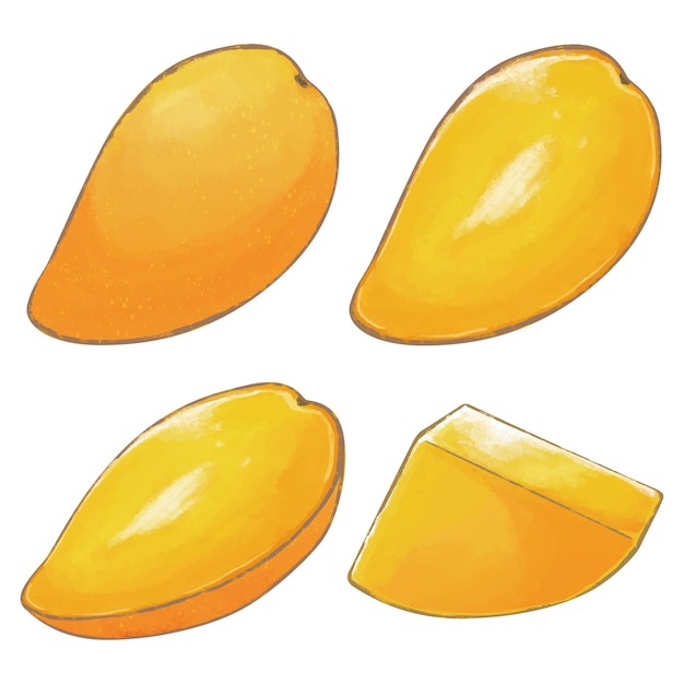 gouden mango illustratie
