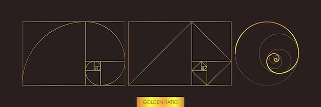 Gouden verhouding Figuur in gouden verhouding Geometrische vormen Minimalistische stijl Vectorillustratie