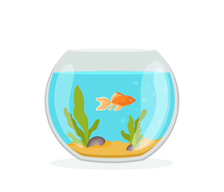 Gouden vissen in een aquarium