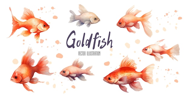 Goudvis aquarel vector kunst illustratie Japanse stijl goudvis patroon set