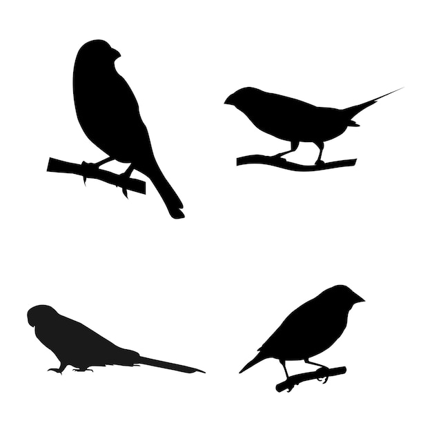 gouldian finch bird icon vector illustration design