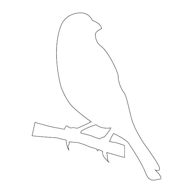 Gouldian finch bird icon vector