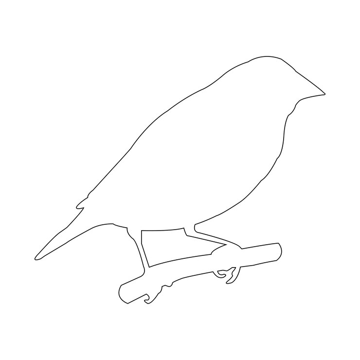 Vector gouldian finch bird icon vector