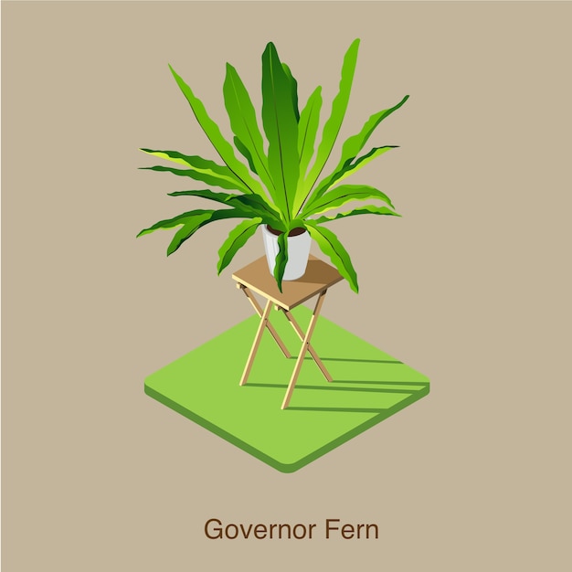 Governor Fern isometric 3D vector art.