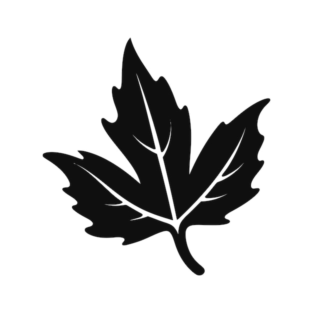 Premium Vector | Graceful leaf patterns