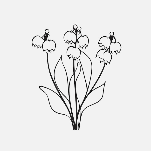 Vector graceful lily of the valley outline illustration for design projects