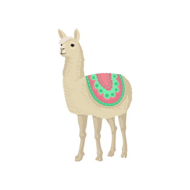 Graceful llama alpaca animal in ornamented poncho vector Illustration on a white background