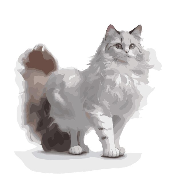 Graceful Ragdoll Vector Illustration Editable Cat Illustration Vector Art