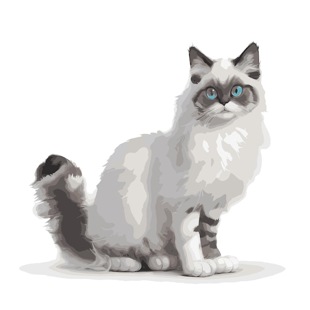 Gracieuze Ragdoll Vector Illustratie Bewerkbare Kat Illustratie Vector Kunst