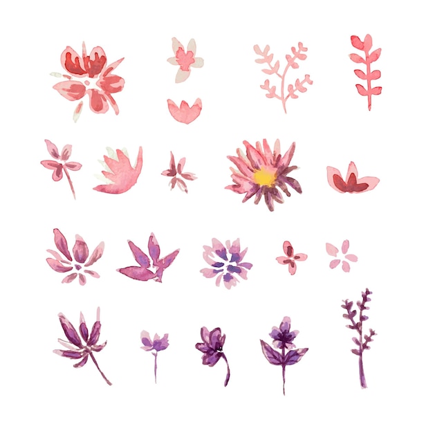 Gradation pink purple watercolor handrawn floral ilustartion vector cute and  feminine