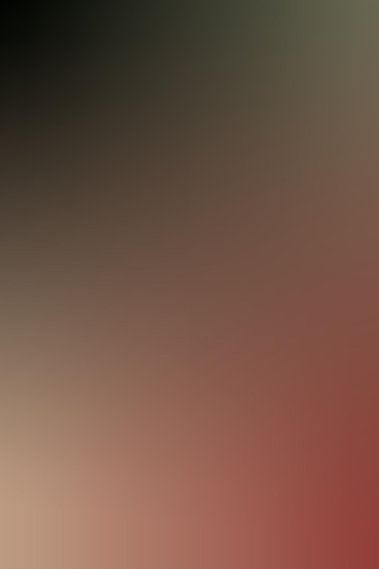 Vector gradient, blurred jet black, olive green, nude, burgundy gradient wallpaper background