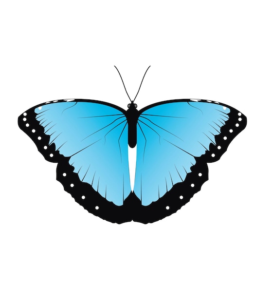 Gradient Butterfly illustration with blue and black colors