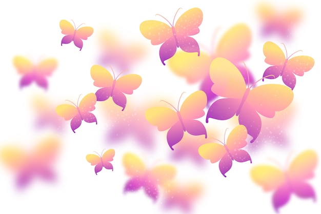 Gradient colorful butterfly background