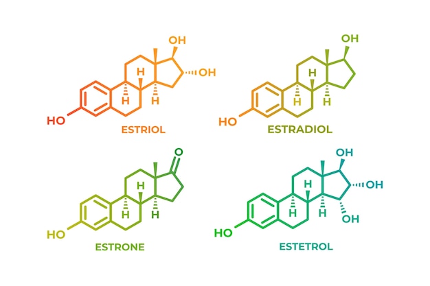 Vector gradient hormones element set