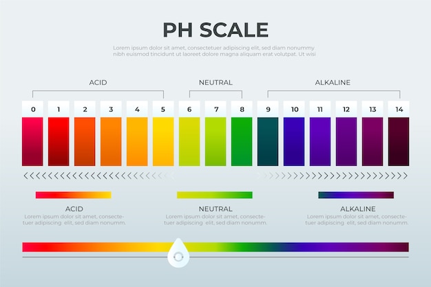 Vector gradient ph scale infographic