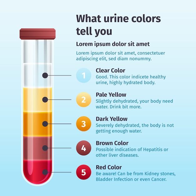 Vettore infografica sul colore dell'urina sfumata