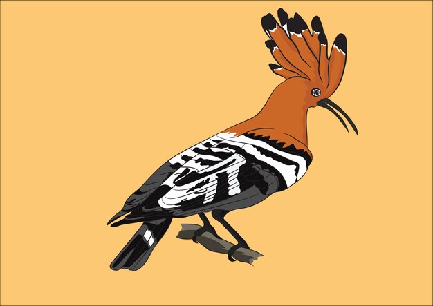 Grafische illustratie van een kleurrijke Hoopoe-vogel die op een tak van een boom zit